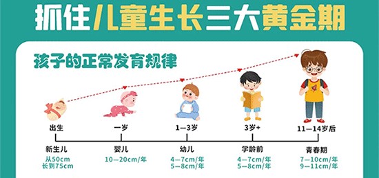 兒童生長發(fā)育的三大黃金期